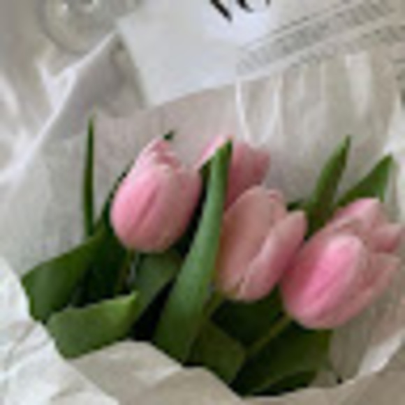 Meet your Posher, Natalie - Picture 1 of 1